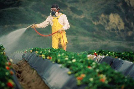 Особливості отримання допусків (посвідчень) на право роботи з пестицидами і агрохімікатами в умовах воєнного стану