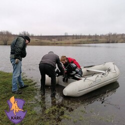 На Київщині врятували пару лебедів, які тривалий час провели у холодній водоймі - Новини України