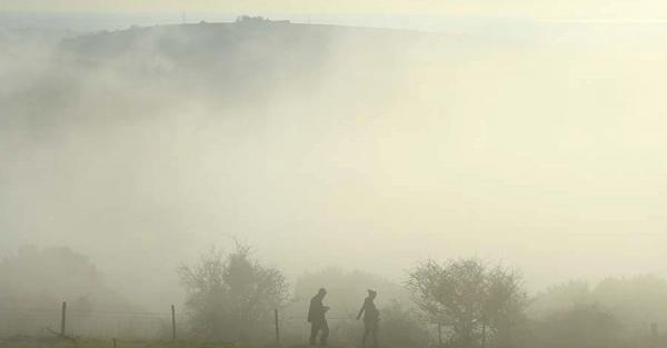 В Україні оголосили штормове попередження через туман - Новини України