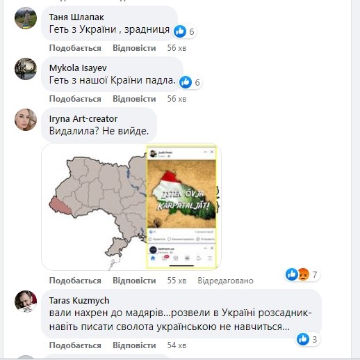 Депутат облради зобразила Закарпаття у квітах угорського прапора - ЗМІ