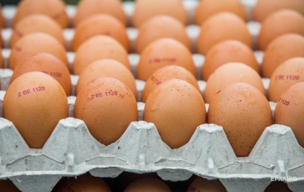 В Україні по-новому продаватимуть курячі яйця