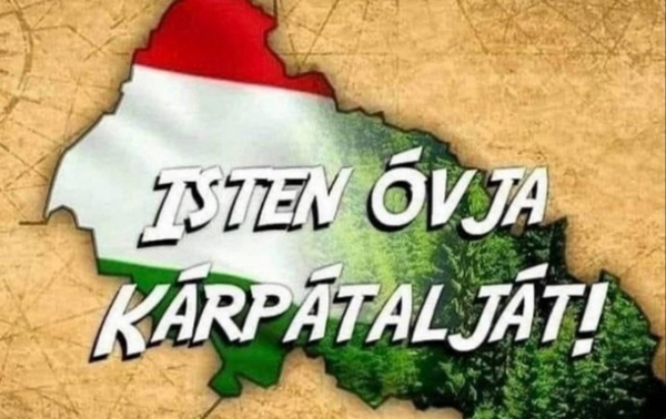 Депутат облради зобразила Закарпаття у квітах угорського прапора - ЗМІ