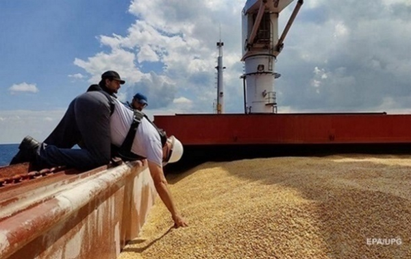 Мінагро про заборону імпорту українського зерна: Це сотні мільйонів доларів