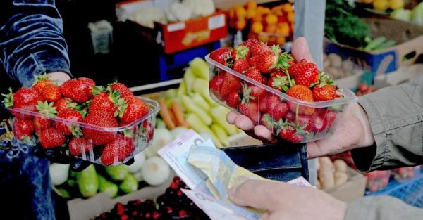 Ціни на полуницю та черешню впадуть у перші дні літа. А чи будуть кавуни - Новини України