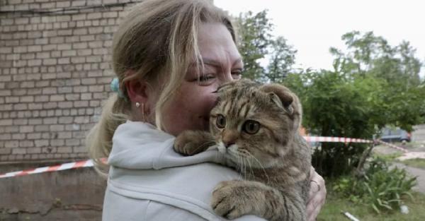 Від стресу не міг пити: волонтери показали кота, якого врятували після ракетного удару по Кривому Рогу - Новини України