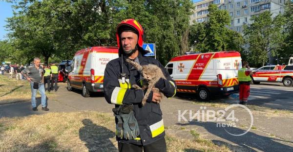 Зі зруйнованої через вибух газ 16-поверхівки в Києві врятували двох котів - Новини України
