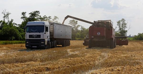Зернового коридору більше немає: економічні наслідки для України - Новини України