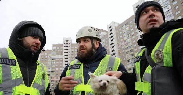 У Києві поліцейські врятували собаку, заблокованого у зруйнованій квартирі після обстрілу - Новини України
