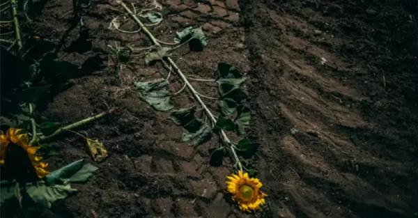 Проєкт українського фотографа переміг у конкурсі World Press Photo-2024 - Новини України