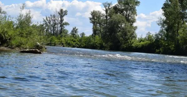 На берег Тиси знову винесло тіло потопельника – вже десяте з початку травня - Новини України