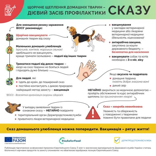 На зображенні може бути: собака, товстий лорі та текст