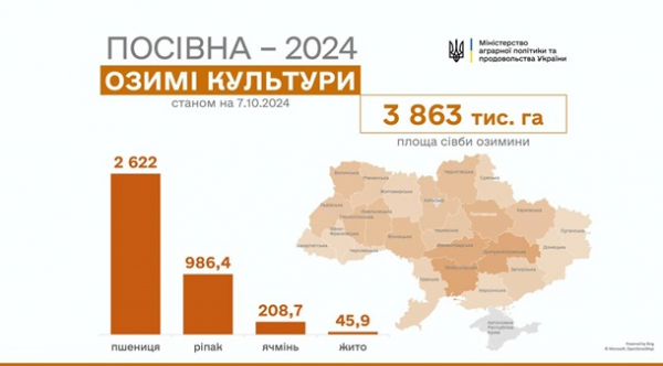 В Україні засіяли 3,8 млн гектарів озимини