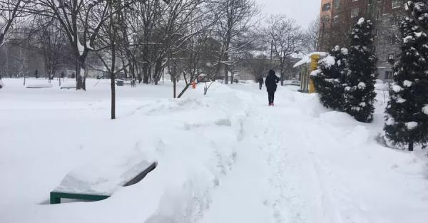 Погода в Україні 12 грудня: снігопади припиняться, але будуть сильні морози - Новини України