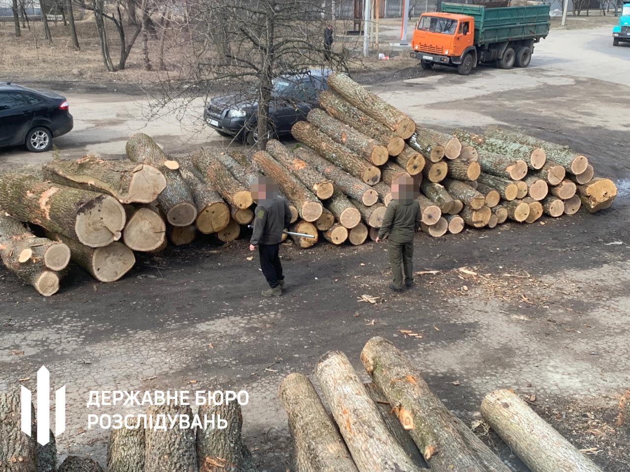 Судитимуть посадовців лісгоспу, через яких держава втратила майже 11 млн гривень