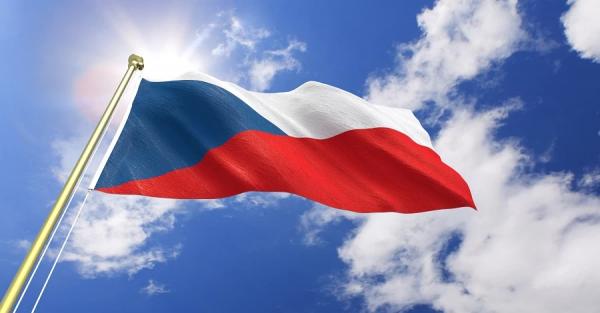 В Чехії на мітингу напали на юнака з українським прапором - Новини України