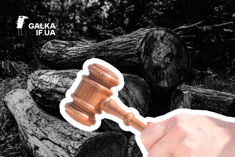 На території комунальних франківських лісів зафіксували незаконну рубку: арештували трактор та мобілки