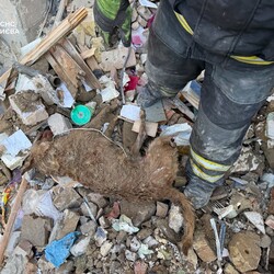 Кількість жертв російського удару по Києву збільшилася до 26 - розбір завалів триває - Новини України