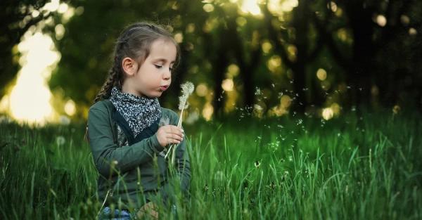12 червня - яке сьогодні свято, традиції та заборони, що не можна робити - Новини України