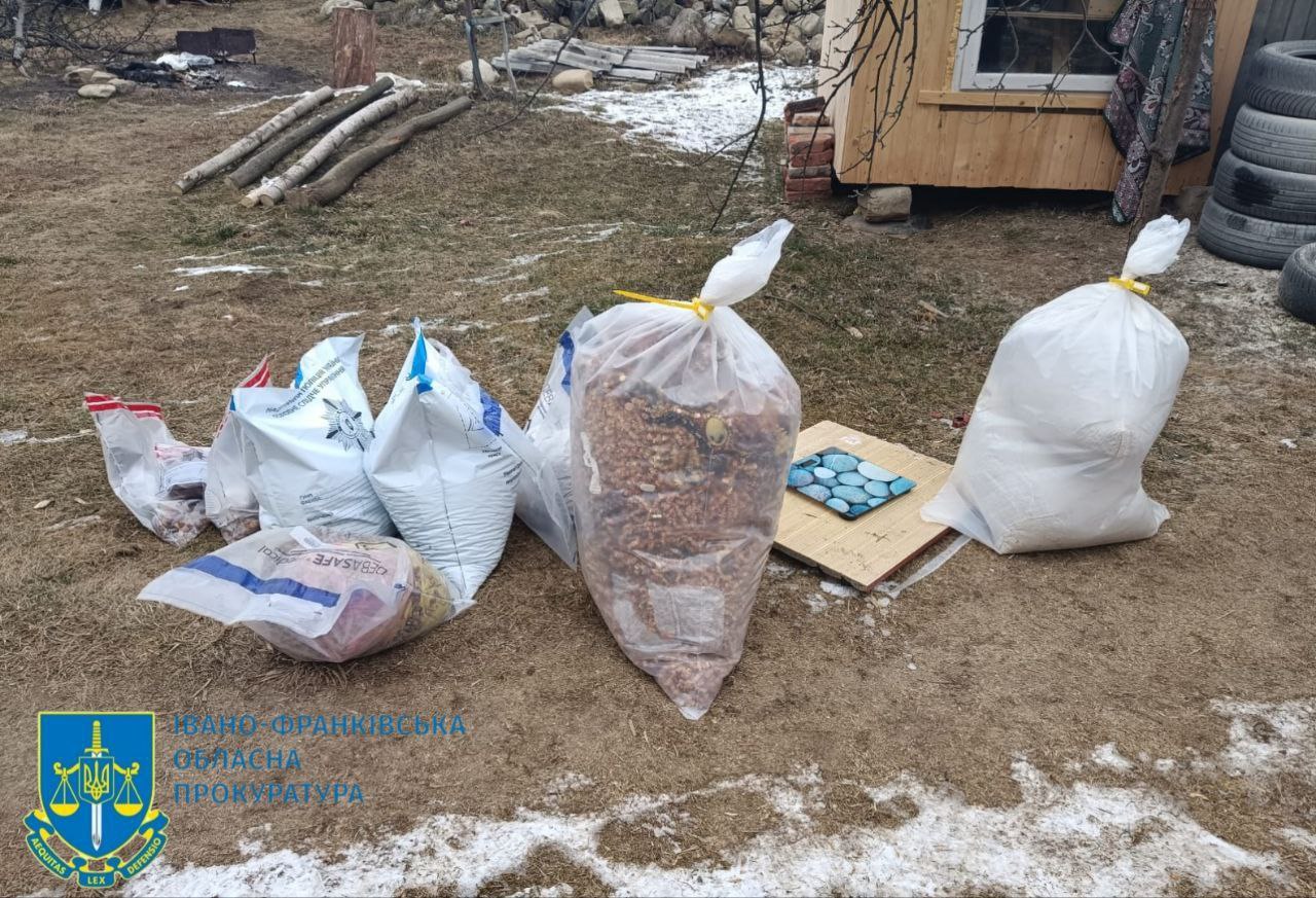 Прикарпатець заплатить 51 тисячу гривень штрафу за участь у схемі незаконного обігу бурштину