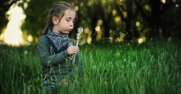 19 червня - яке сьогодні церковне свято, що не можна робити, все про цей день - Новини України