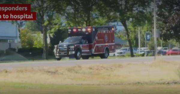 В США невідомі відкрили вогонь по рятувальниках, які гасили лісову пожежу - Новини України