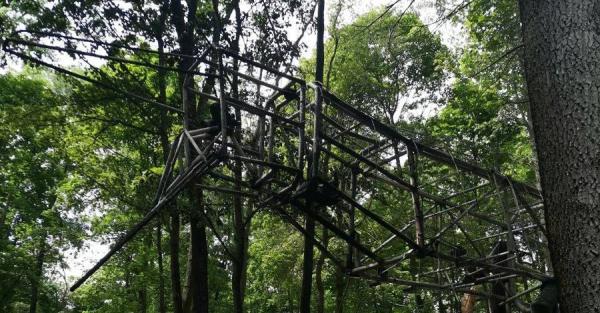 У Києві сталася пожежа на ВДНГ, згорів величезний динозавр - Новини України