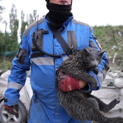 У Києві після російської атаки завалився під'їзд п'ятиповерхівки, під руїнами є люди  - Новини України