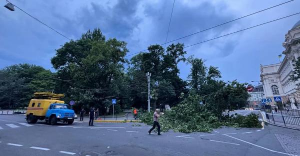Львів накрила сильна пилова буря – дороги засипані деревами - Новини України