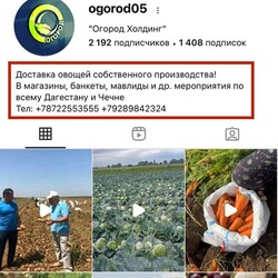 СБУ оприлюднила докази щодо посадовця НАБУ, який підозрюється у торгівлі з РФ  - Новини України
