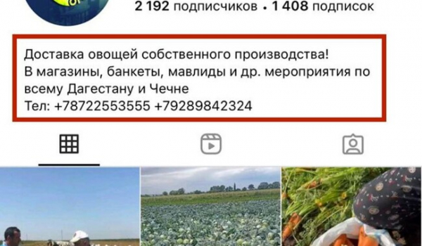 СБУ оприлюднила докази щодо посадовця НАБУ, який підозрюється у торгівлі з РФ  - Новини України
