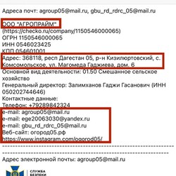 СБУ оприлюднила докази щодо посадовця НАБУ, який підозрюється у торгівлі з РФ  - Новини України