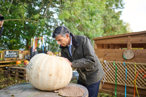 Що робити з гарбузами після Геловіна: і вазу, і кашу, і корм для кроликів - Новини України Що робити з гарбузами після Геловіна: і вазу, і кашу, і корм для кроликів - Новини України
