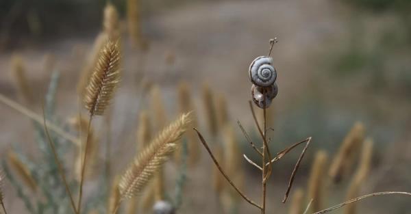 2024 рік став найтеплішим за останні 125 тисяч років, - вчені - Новини України