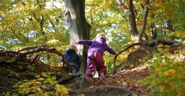 17 листопада - День студента, яке сьогодні церковне свято, прикмети цього дня - Новини України 17 листопада - День студента, яке сьогодні церковне свято, прикмети цього дня - Новини України