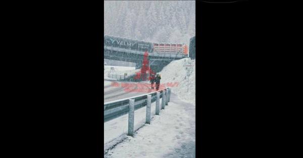 У Карпатах випав сніг, а у Києві оголосили небезпеку через вітер - Новини України