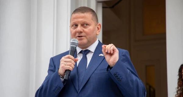 ГО «Захист держави» готують як політичну платформу для Залужного, - правозахисник - Новини України