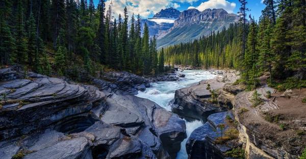 18 грудня - День військової контррозвідки СБУ, яке сьогодні церковне свято, що не можна робити - Новини України 18 грудня - День військової контррозвідки СБУ, яке сьогодні церковне свято, що не можна робити - Новини України