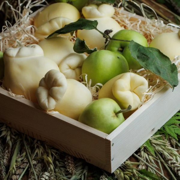 Чорний чеддер і Говерла з пліснявою: 65 кращих українських сирів на Сирній мапі - Новини України