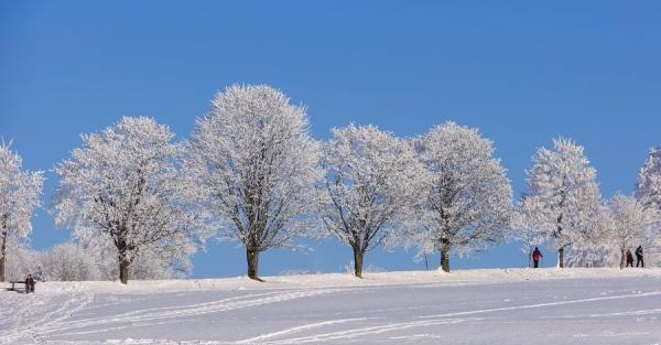 8 січня - яке сьогодні свято, що не можна робити, традиції і прикмети, все про цей день - Новини України