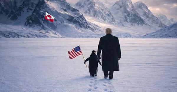 Білий дім відреагував на глузування через картинку Трампа з пінгвіном - Новини України