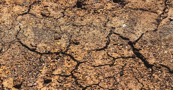 Закарпаття сколихнув землетрус, поштовхи зафіксували поблизу Мукачева - Новини України