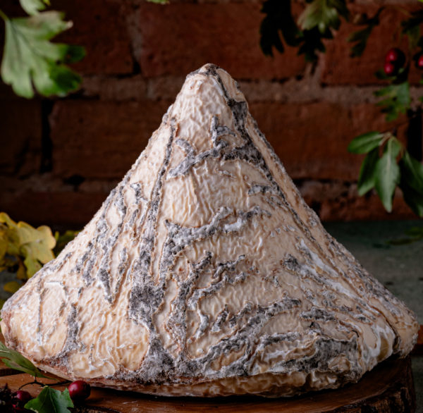 Чорний чеддер і Говерла з пліснявою: 65 кращих українських сирів на Сирній мапі - Новини України