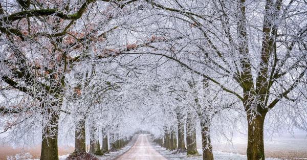 11 січня - яке сьогодні свято, у кого іменини, що не можна робити, все про цей день - Новини України 11 січня - яке сьогодні свято, у кого іменини, що не можна робити, все про цей день - Новини України