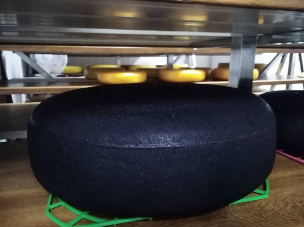 Чорний чеддер і Говерла з пліснявою: 65 кращих українських сирів на Сирній мапі - Новини України