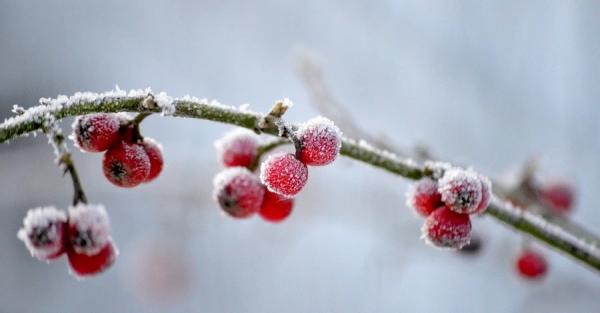 В Україні 18 січня утримається морозна погода, в деяких областях до -20 - Новини України
