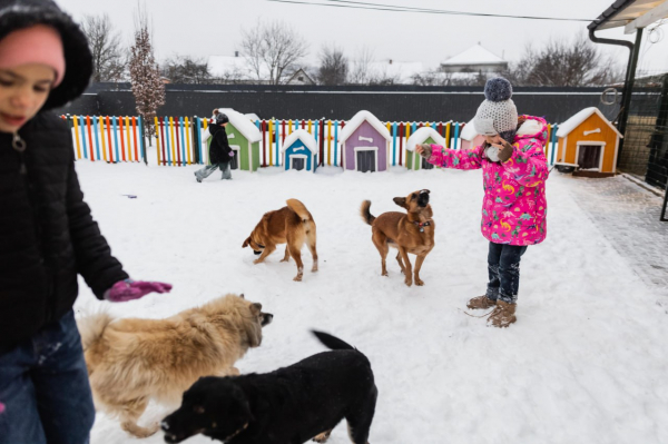 Місто Добра в Чернівцях: місце, де дітям і мамам повертають дім, надію і майбутнє - Новини України