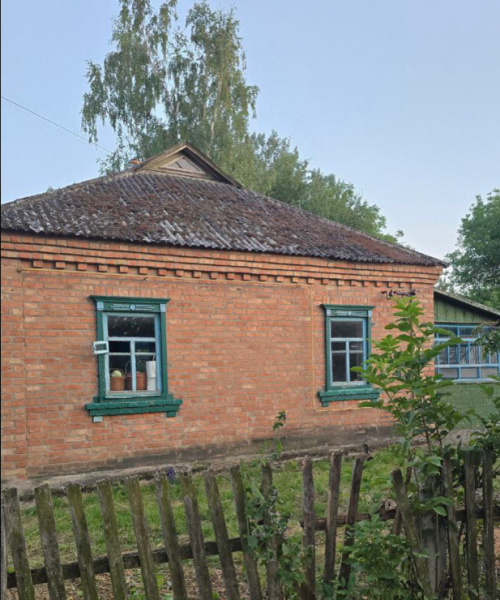 Харків'янка повернулася до України після 11 років у США: Я опинилася на своєму місці - Новини України