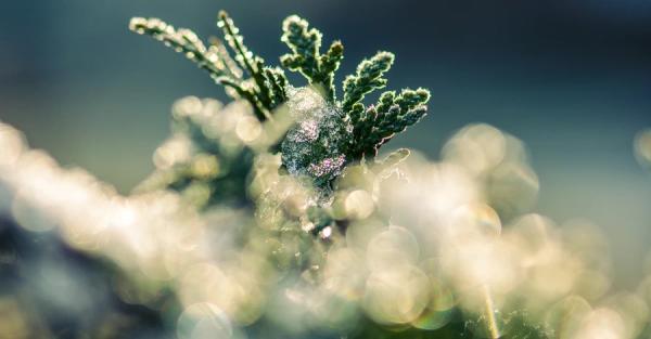 Погода на 5 лютого - в Україну йде потепління, але не надовго - Новини України