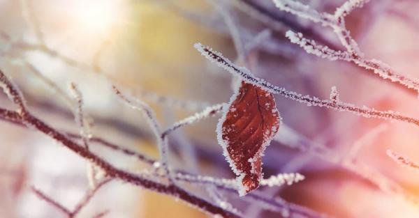 8 лютого - яке сьогодні свято, що не можна робити у цей день, яке церковне свято, все про цей день - Новини України