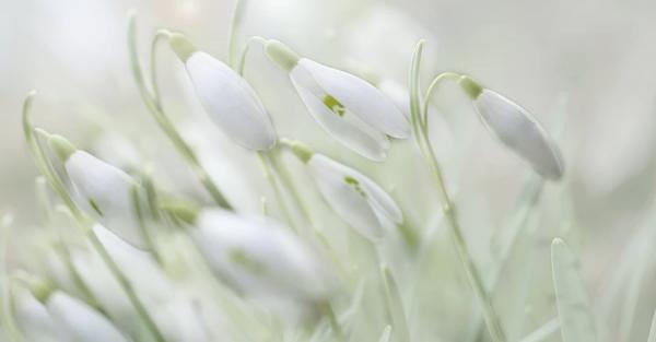 1 березня - перший день весни яке церковне свято, що сьогодні не можна робити, звичаї та традиції, все про цей день - Новини України